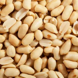 Blanched Roasted Peanuts